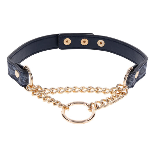 SportSheets Cougar Day Collar